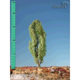   Silhouette 213-21 Jegenyenyárfa (2 db) - 15-20 cm, Tavasz (H0)