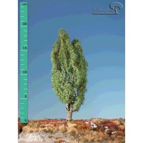   Silhouette 213-22 Jegenyenyárfa (2 db) - 15-20 cm, Nyár (H0)