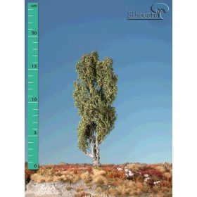   Silhouette 213-23 Jegenyenyárfa (2 db) - 15-20 cm, Kora-ősz (H0)