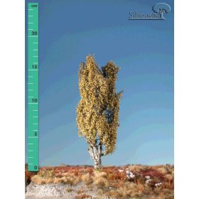   Silhouette 213-24 Jegenyenyárfa (2 db) - 15-20 cm, Késő-ősz (H0)