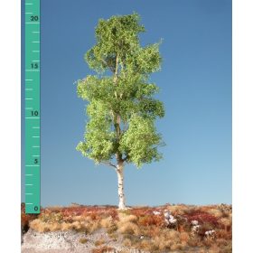   Silhouette 215-01 Rezgőnyárfa (2 db) - kb. 8 cm, Tavasz (H0)