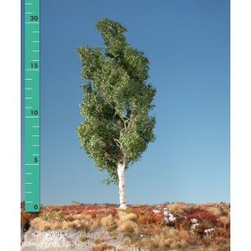   Silhouette 215-03 Rezgőnyárfa (2 db) - kb. 8 cm, Kora-ősz (H0)