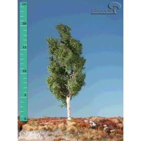   Silhouette 215-22 Rezgőnyárfa (1 db) - 15-20 cm, Nyár (H0)