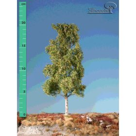   Silhouette 215-23 Rezgőnyárfa (1 db) - 15-20 cm, Kora-ősz (H0)