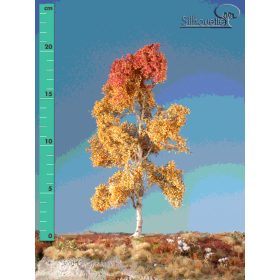   Silhouette 215-24 Rezgőnyárfa (1 db) - 15-20 cm, Késő-ősz (H0)