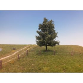   Silhouette 215-52 Nyárfa, nyár / Profiline - H0, TT (15-20cm)