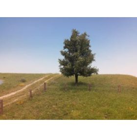   Silhouette 215-62 Nyárfa, nyár / Profiline - TT, N, Z (8cm)