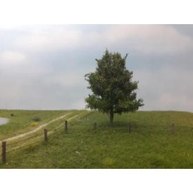   Silhouette 215-63 Nyárfa, kora ősz / Profiline - TT, N, Z (8cm)