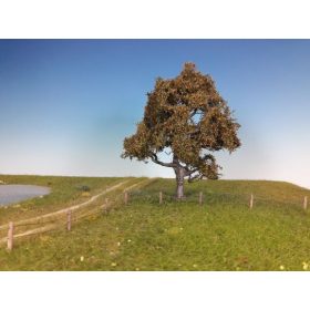 Silhouette 220-13 Bükkfa (1 db) - 10-13 cm, Kora-ősz (H0)