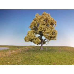 Silhouette 220-21 Bükkfa (1 db) - 15-20 cm, Tavasz (H0)