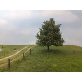 Silhouette 220-43 Bükkfa, kora őszi, 1 db - 10-13 cm (1,0)