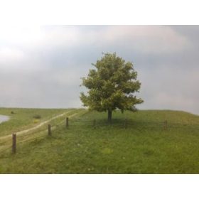   Silhouette 220-61 Bükkfa (2 db), tavasz / Profilline - N, Z (8cm)