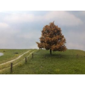   Silhouette 220-64 Bükkfa (2 db), késő ősz / Profilline - N, Z (8cm)