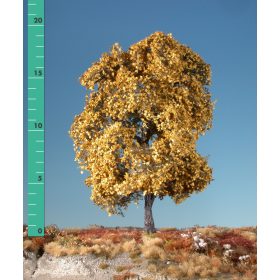   Silhouette 230-24 Juharfa (1 db), sárga - 15-20 cm, Késő-ősz (H0)