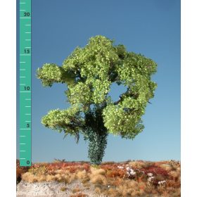   Silhouette 231-21 Juharfa ráfutott borostyánnal (1 db) - 15-20 cm, Tavasz (H0)