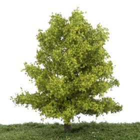   Silhouette 233-61  Platánfa (1 db), tavasz/ Profiline - TT, N, Z (8cm)