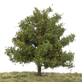   Silhouette 233-63 Platánfa (1 db), kora ősz / Profiline - TT, N, Z (8cm)