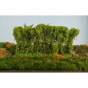 Silhouette 254-41 Sövény, tavasz - 8-10 cm magas (1,0)