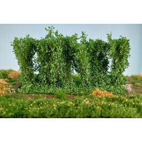 Silhouette 254-42 Sövény, nyár - 8-10 cm magas (1,0)