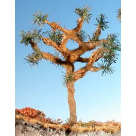 Silhouette 260-02 Joshua Tree, kb. 8 cm - nyár (H0,TT,N)