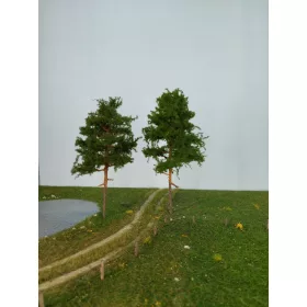 Silhouette 270-50 Vörösfenyő - 15-20 cm, Nyár (1)