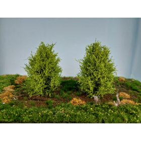 Silhouette 350-41 Bokor, 2 db, tavasz - 8-10 cm