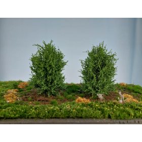 Silhouette 350-42 Bokor, 2 db, nyár - 8-10 cm