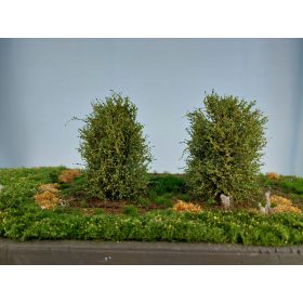 Silhouette 350-43 Bokor, 2 db, kora őszi - 8-10 cm