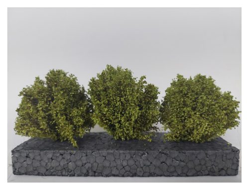 Silhouette 350-51 Bokor, 3 db, tavasz - 4 cm átmérő