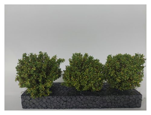 Silhouette 350-53 Bokor, 3 db, kora ősz - 4 cm átmérő