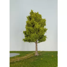   Silhouette 351-002-1 Nyárfa, tavasz / Profiline - 1, 0 (30-34cm)