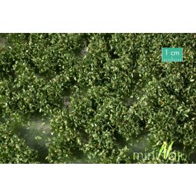   Silhouette 725-22 SX Gazcsomók átlátszó lapon - 10 db, Nyár (H0) kb. 15x8 cm