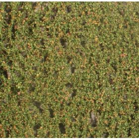   Silhouette 920-13 H Bükkfa-lombanyag - téphető, Kora-ősz (N/Z) kb. 50x31,5 cm