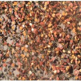   Silhouette 920-34 H Bükkfa-lombanyag - téphető, Késő-ősz (1:45) kb. 50x31,5 cm