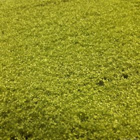   Silhouette 942-21 H Tölgyfa lombanyag - téphető, Tavasz (H0) (kb. 50x31,5 cm)