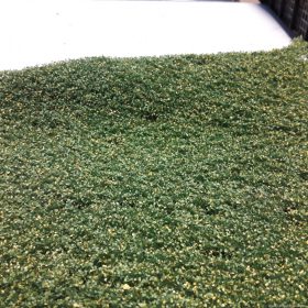   Silhouette 942-23 H Tölgyfa lombanyag - téphető, Kora ősz (H0) (kb. 50x31,5 cm)