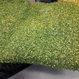   Silhouette 942-33 Tölgyfa lombanyag - téphető, Kora ősz (1:45) (kb. 27x15 cm)