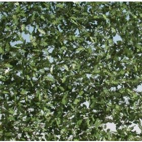   Silhouette 980-31 H Tölgyfa lombanyag - téphető, Tavasz (1:45) kb. 50x31,5 cm