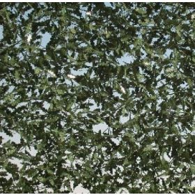   Silhouette 980-32 G Tölgyfa lombanyag - téphető, Nyár (1:45) kb. 63x50 cm