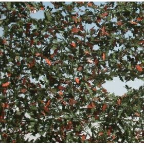   Silhouette 980-33 H Tölgyfa lombanyag - téphető, Kora-ősz (1:45) kb. 50x31,5 cm