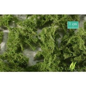   Silhouette 993-22 Erdei örökzöld, Világoszöld (H0) 1 csomag