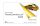 TrainController® 10 Gold - Vonatvezérlő szoftver (profi)