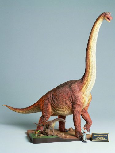 Tamiya Brachiosaurus Diorama Set 1/35 (300060106) figura makett