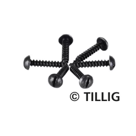 Tillig 8970 Sínrögzítő csavarok (100 db) (H0,TT)