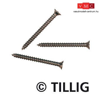 Tillig 8976 Sínrögzítő csavarok (100 db), 1, 4×15 mm (H0,TT)