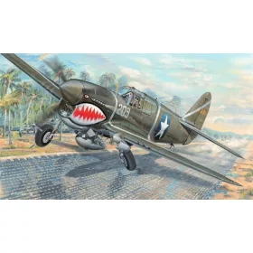 Trumpeter 03227 P-40F War Hawk (1/32)
