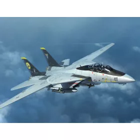 Trumpeter 03919 F-14D Tomcat (1/144)