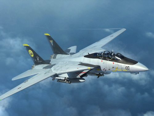 Trumpeter 03919 F-14D Tomcat (1/144)