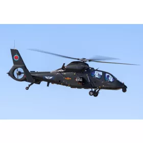 Trumpeter 05819 Z-19 (1/48)