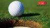 VMC 70005 Tatai golfgyep, sztatikus szórható fű, 2 mm (20 g)
